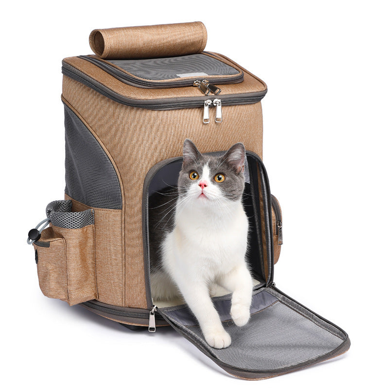 Traveling Cat Luggage