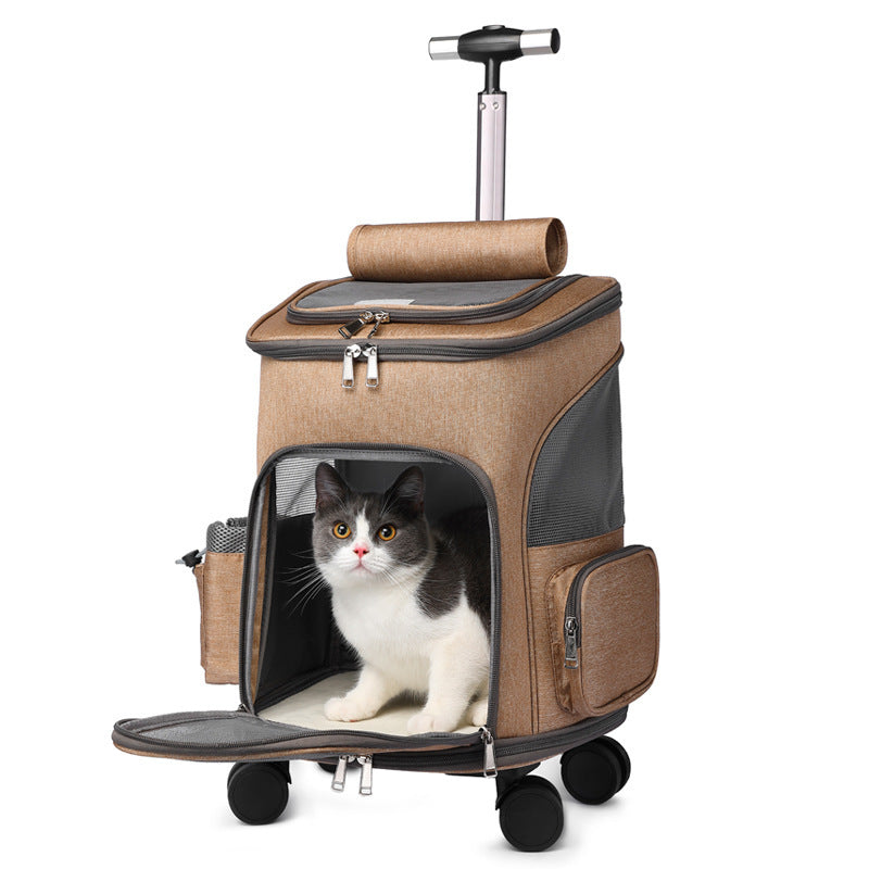 Traveling Cat Luggage